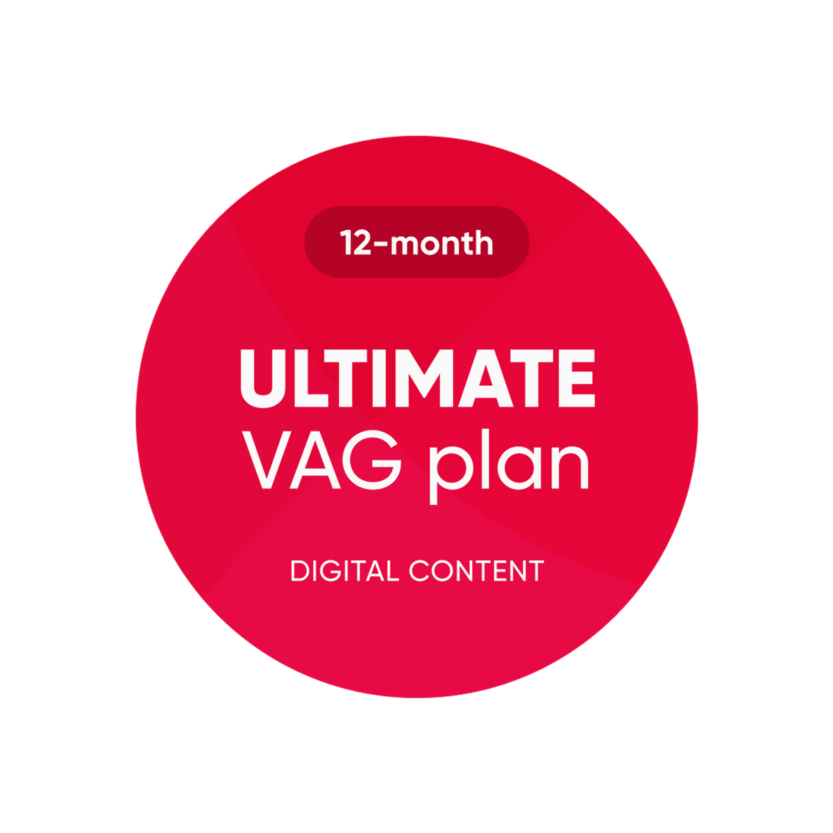 OBDeleven | Ultimate VAG Plan | Software-licens