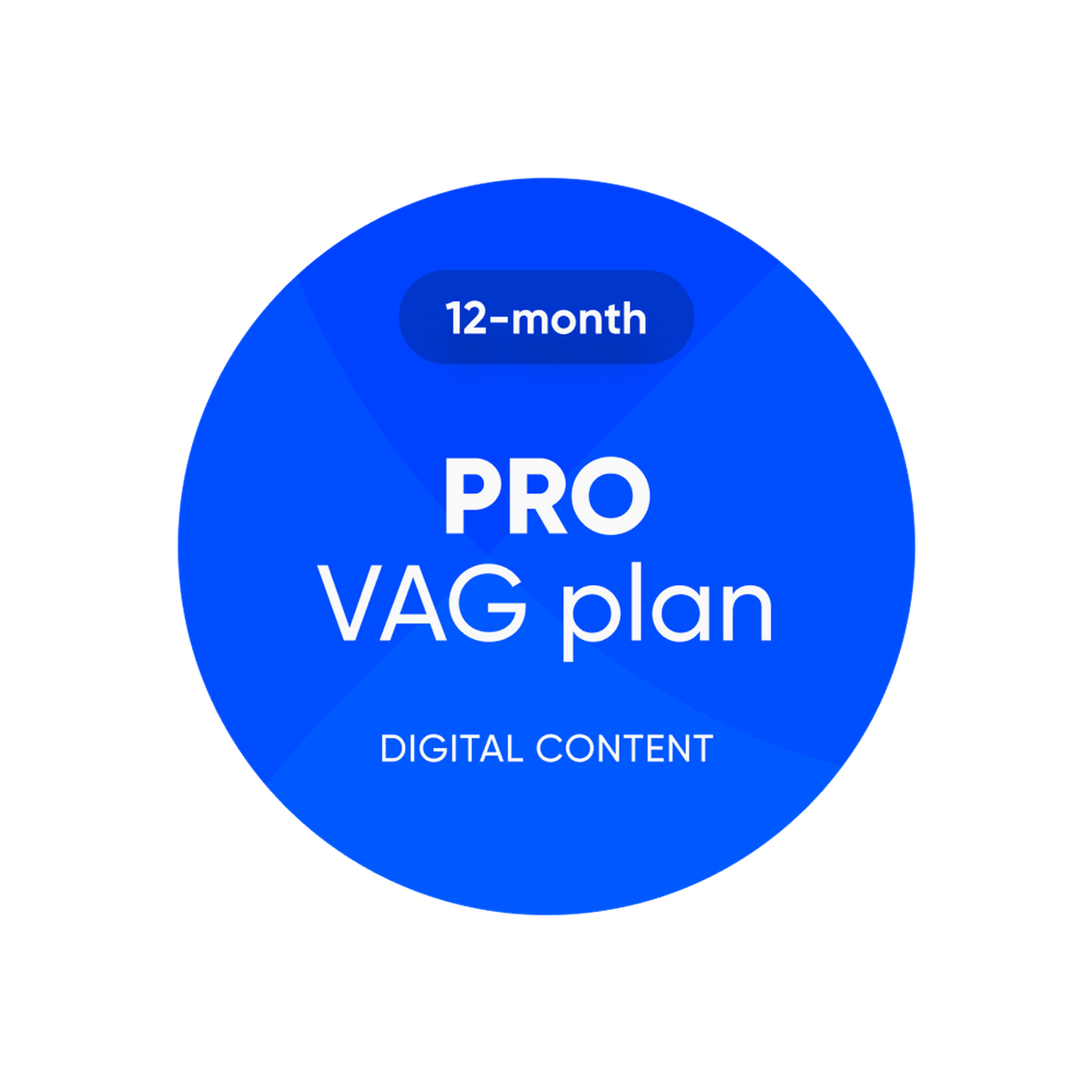 OBDeleven | Pro VAG Plan | Softwarelicens